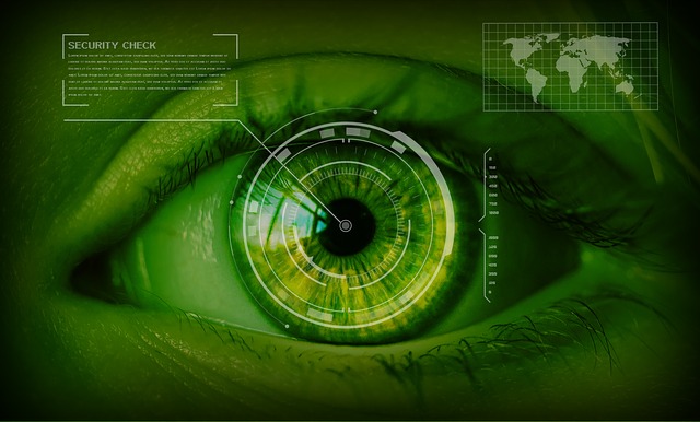 Security, Seguridad