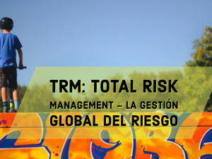 TRM: Total Risk Management - La gestión global del Riesgo